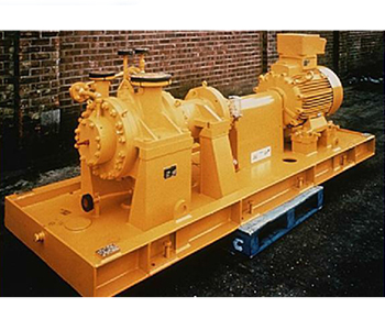 美国胜达因磁力泵